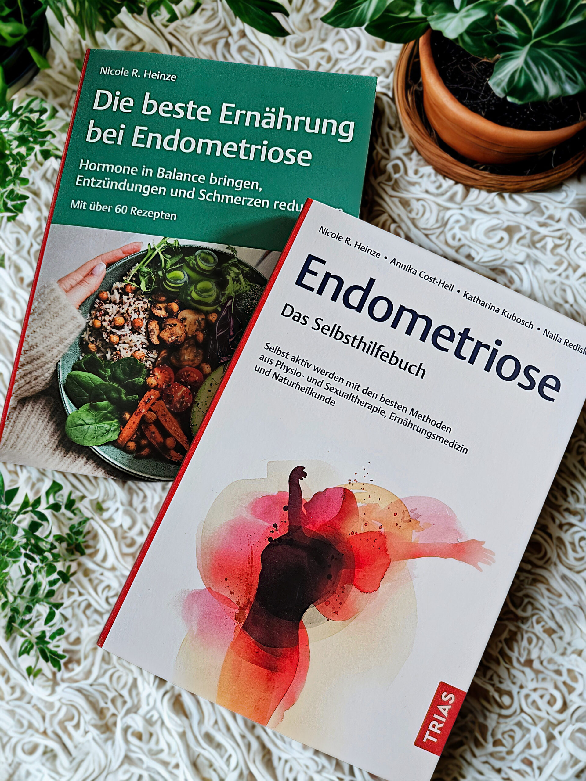 Ernährungskurs bei Endometriose, basierend auf meinen Büchern